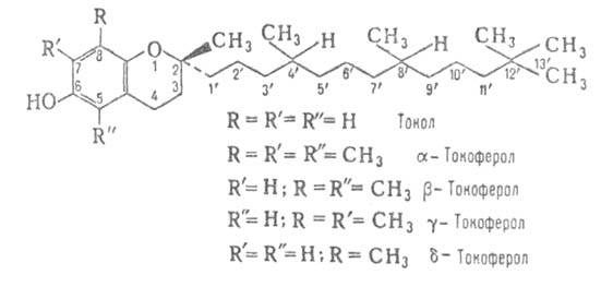Chemical structure of tocol and tocopherols