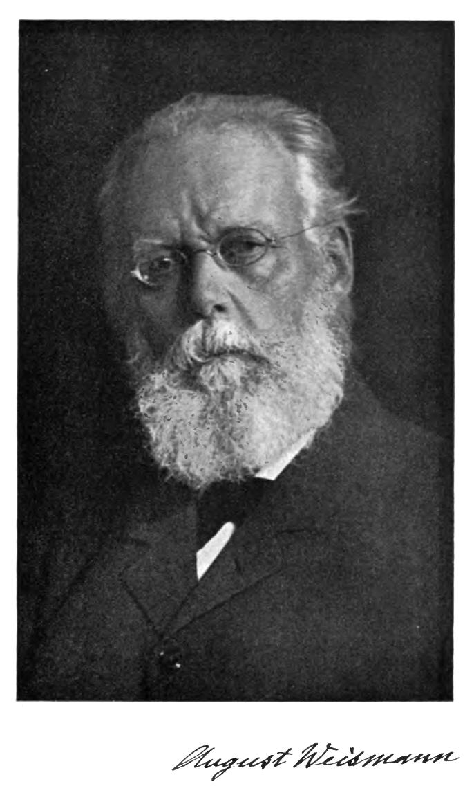 Август Вейсман (1834–1914)