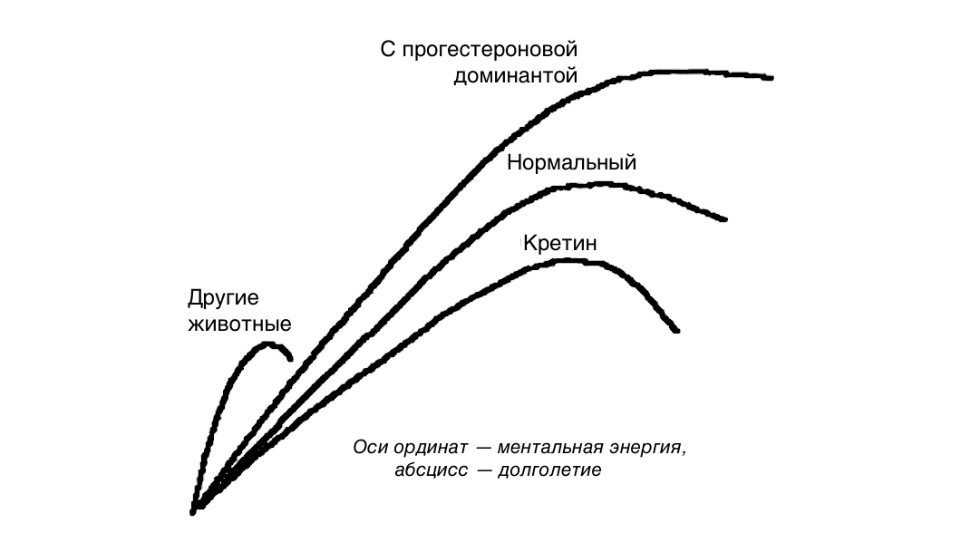 Рис. 2