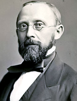 Рудольф Вирхов (1821–1902)