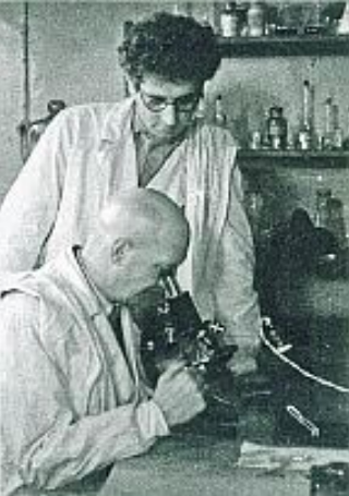 В. Я. Александров (1906–1995)и Д. Н. Насонов (1895–1957)